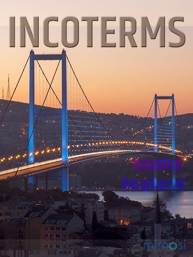 incoterms pict. istanbul logo